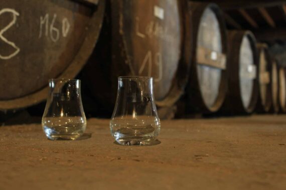Verre à whisky de dégustation professionnel 12 cl – Image 3