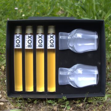Coffret whisky avec 2 verres de dégustation