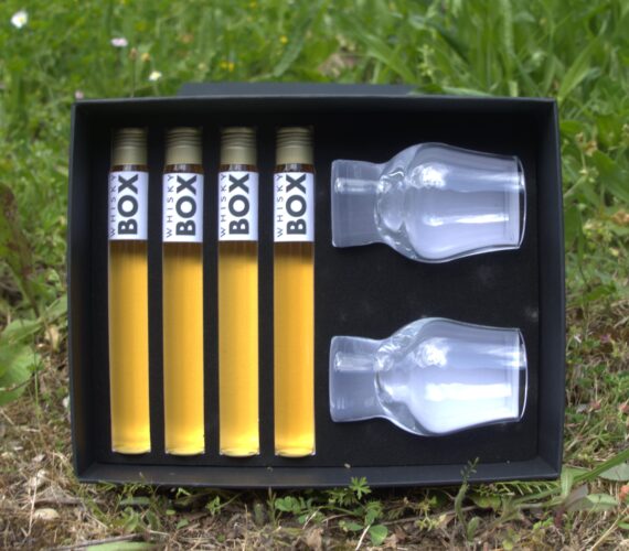 Coffret whisky avec 2 verres de dégustation